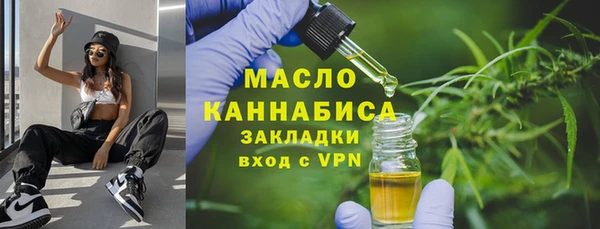 spice Богородицк