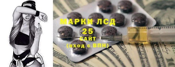 spice Богородицк