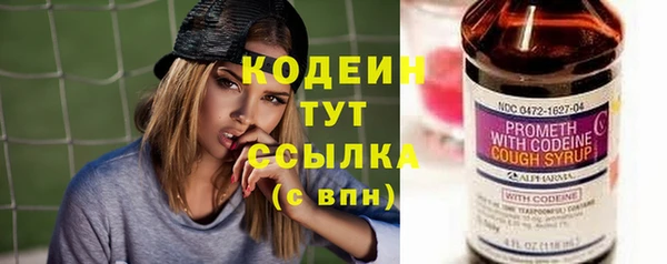 spice Богородицк