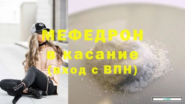 spice Богородицк