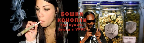 прущий лед Богданович