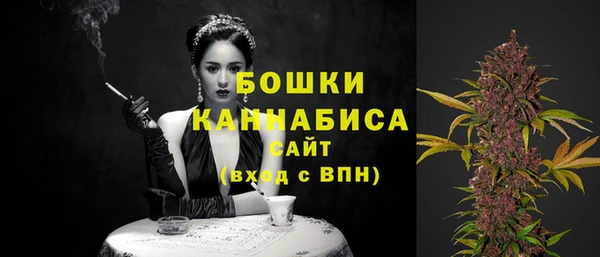 прущий лед Богданович