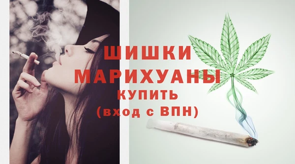 spice Богородицк