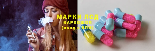 прущий лед Богданович