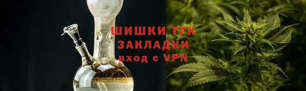 прущий лед Богданович