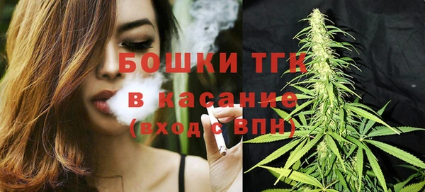 spice Богородицк