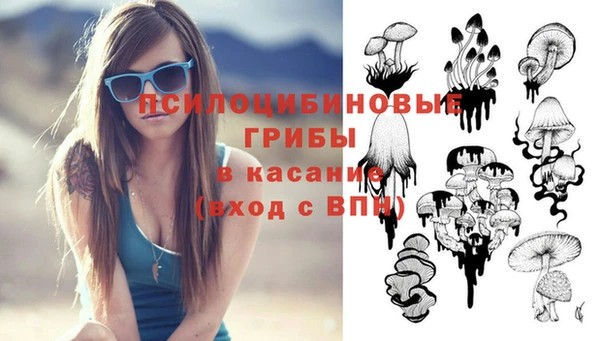 прущий лед Богданович