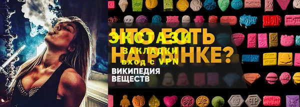 spice Богородицк