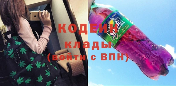 прущий лед Богданович