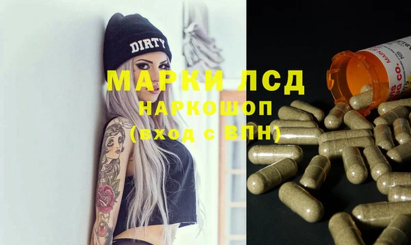 spice Богородицк