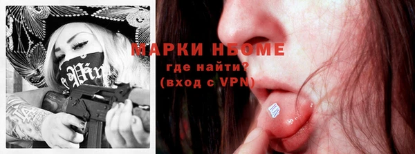 прущий лед Богданович