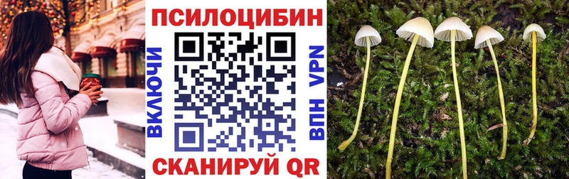 Галлюциногенные грибы Magic Shrooms  Саранск 